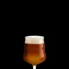 Holmegaard Mikkeller Universalt Ølglas 40 cl klar 2 stk.